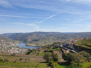 Quinta de Sobre a Fonte Charming Apartments